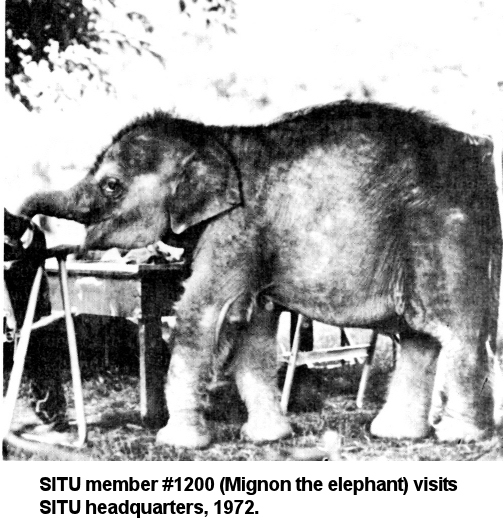 Mignon the Elephant
